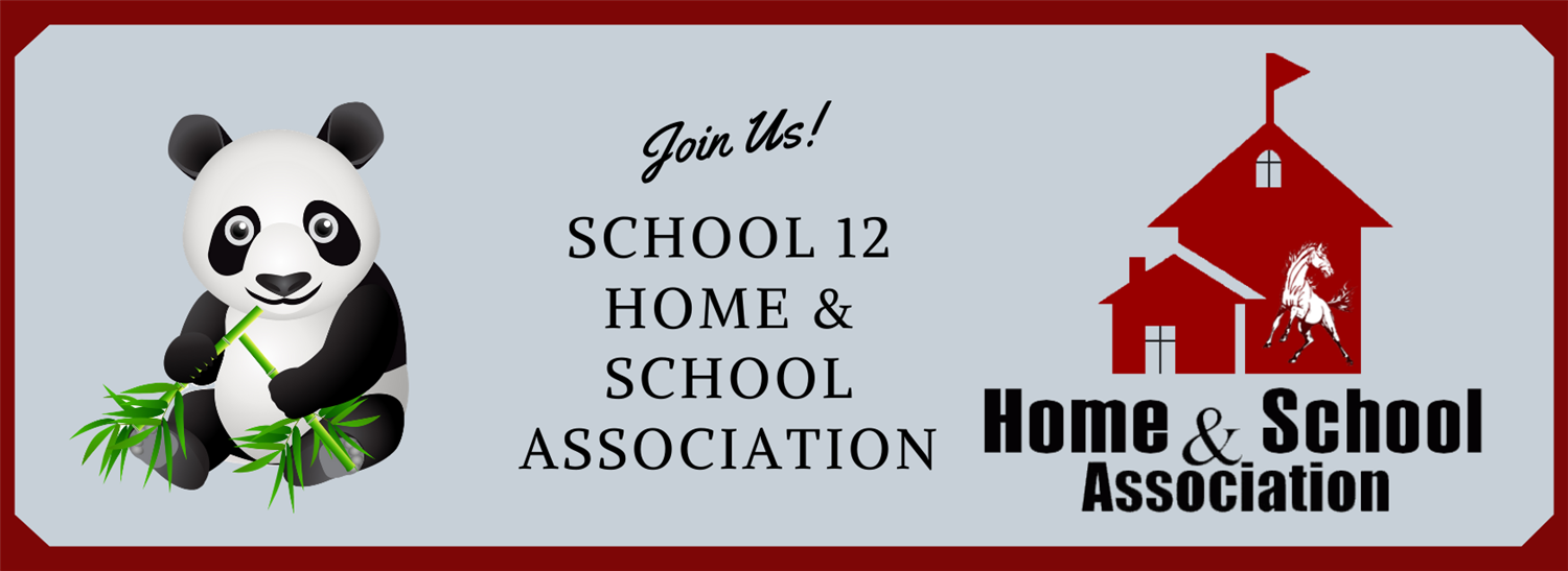 School Twelve HSA Logo